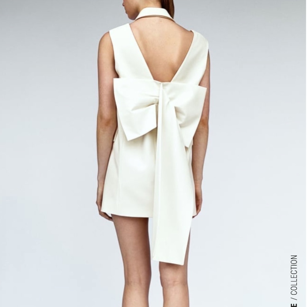 Zara Limited Edition Bow Sleeveless Dress Size M Bnwt